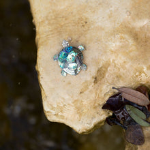 Load image into Gallery viewer, Paua Shell Turtle Pin/Pendant
