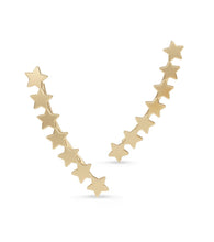 Load image into Gallery viewer, We&#39;re All Stardust Climber Earrings
